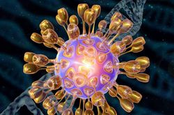 Virus ảnh hưởng đến 60% dân số thế giới chứa manh mối về nguy cơ mắc Alzheimer