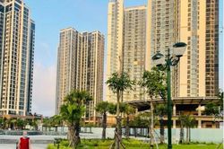 Mua nhà hay mua căn hộ tại Quận 7 (cũ): 5 tiêu chí so sánh và cách tìm tin đăng trên Batdongsan.com.vn