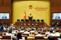 Bỏ phạt đ&igrave;nh chỉ hoạt động c&oacute; thời hạn với ph&aacute;p nh&acirc;n thương mại ở một số tội danh