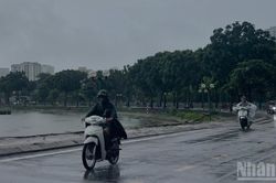Cảnh b&aacute;o mưa lớn từ H&agrave; Tĩnh đến th&agrave;nh phố Đ&agrave; Nẵng, cục bộ c&oacute; nơi mưa rất to tr&ecirc;n 250mm