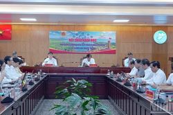 C&agrave; Mau x&acirc;y dựng ch&iacute;nh quyền số, chuyển từ 'kết nối' sang 'th&iacute;ch ứng'
