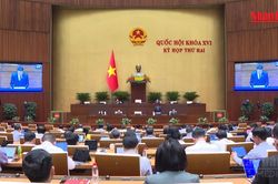 [Video] Quốc hội thảo luận về dự thảo Bộ luật Tố tụng h&igrave;nh sự (sửa đổi)