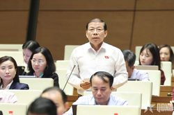 Đại biểu Quốc hội đề nghị giữ &aacute;n tử h&igrave;nh với tội mua b&aacute;n tr&aacute;i ph&eacute;p chất ma t&uacute;y