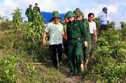 Huế t&igrave;m thấy h&agrave;i cốt liệt sĩ trong rừng tr&agrave;m ở Lộc An