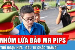 X&eacute;t xử nh&oacute;m lừa đảo Mr Pips: Từ tin lời hứa 'đầu tư chắc thắng' đến mất h&agrave;ng tỷ đồng