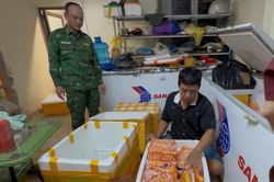 Phát hiện đường dây nhập lậu trứng gà non núp bóng cư dân biên giới