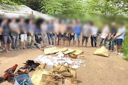 Triệt ph&aacute; tụ điểm 'đ&aacute; g&agrave;' trong khu lau sậy, bắt giữ 18 đối tượng