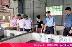 Thượng Đức phát triển mô hình kinh tế mới, mở rộng thị trường tiêu thụ
