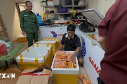 Triệt ph&aacute; th&agrave;nh c&ocirc;ng đường d&acirc;y tuồn h&agrave;ng tấn thực phẩm bẩn mỗi ng&agrave;y qua cửa khẩu
