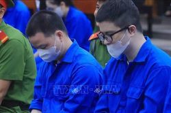 Vụ &aacute;n Mr Pips: H&agrave;nh vi lừa đảo của c&aacute;c bị c&aacute;o khiến nhiều gia đ&igrave;nh nợ nần chồng chất