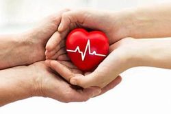 Sửa đổi Luật Hiến gh&eacute;p m&ocirc;, tạng: Đặt quyền v&agrave; lợi &iacute;ch của trẻ em l&ecirc;n h&agrave;ng đầu