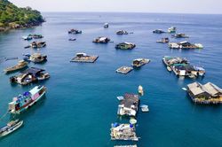 An Giang nghiên cứu chính sách xây dựng làng nuôi biển hiện đại
