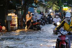 TP.HCM: Người d&acirc;n vất vả đi lại v&igrave; triều cường