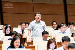 Đại biểu Quốc hội tỉnh Thanh H&oacute;a g&oacute;p &yacute; v&agrave;o dự thảo Bộ luật H&igrave;nh sự (sửa đổi)