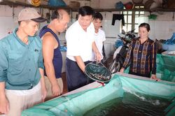 Bắc Ninh: Ứng dụng công nghệ cao sản xuất giống thủy sản