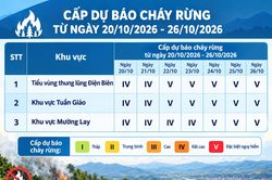 Chủ động ph&ograve;ng, chống ch&aacute;y rừng m&ugrave;a kh&ocirc;