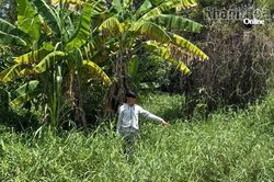 Khởi tố, bắt tạm giam 2 thanh ni&ecirc;n ch&eacute;m người, g&acirc;y rối ở khu d&acirc;n cư