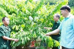 Vai trò dẫn dắt xây dựng hợp tác xã kiểu mới
