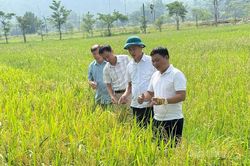 Từ quyết s&aacute;ch đ&uacute;ng đến chuyển biến thực chất