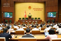 Quốc hội thảo luận về dự thảo Bộ luật H&igrave;nh sự (sửa đổi)
