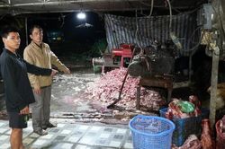 Kỳ 2: Khi bữa ăn bị đặt cược vào lòng tham
