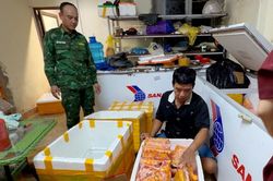 Triệt phá đường dây buôn lậu trứng gà non 'bẩn' qua biên giới