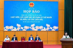 Dự thảo Luật hiến, gh&eacute;p m&ocirc;, tạng: C&acirc;n bằng giữa 'cứu người' v&agrave; 'bảo vệ tối đa quyền lợi trẻ em'