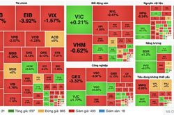 Chứng khoán 26/10: VN-Index mất 10,6 điểm, khối ngoại bán ròng gần 891 tỷ đồng