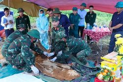Ph&aacute;t hiện h&agrave;i cốt liệt sĩ c&ugrave;ng nhiều di vật trong rừng tr&agrave;m ở Huế