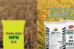 C&aacute;ch n&agrave;o chặn ph&acirc;n b&oacute;n giả, k&eacute;m chất lượng?