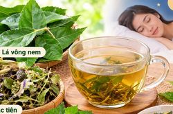 4 bài thuốc từ lá vông nem chữa mất ngủ
