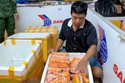 Lộ đường đi của 700 kg trứng gà non từ Trung Quốc vào Việt Nam