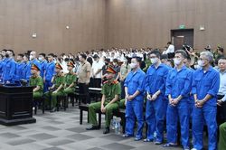 Kịch bản 'ho&agrave;n hảo' của Mr Pips khiến h&agrave;ng ngh&igrave;n người mắc bẫy 'lừa đảo'