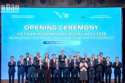 Thúc đẩy hợp tác quốc tế về công nghệ số và trí tuệ nhân tạo