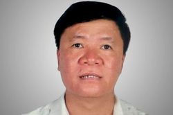 Truy tố Chủ tịch Công ty Cây xanh Công Minh và 46 bị can