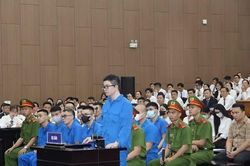 Mr Pips mắc bệnh tâm thần hưng cảm thật hay 'chiêu trò' giảm án hình sự?