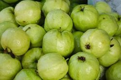 Đặc sản ổi bo Hưng Yên đắt hàng trên thị trường tiêu dùng