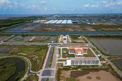 Lý do khu công nghệ cao phát triển tôm Bạc Liêu 'lụt' 9 năm
