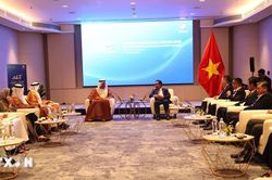 Thành phố Hồ Chí Minh thúc đẩy hợp tác năng lượng với UAE
