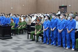 Nhân viên của Mr Pips khai về 'vòng xoáy' không lối thoát của nhà đầu tư