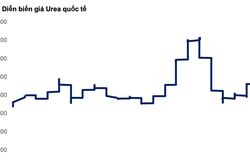 Đề xuất giảm thuế xuất khẩu phân bón về 0%: Doanh nghiệp nào được lợi nhất?