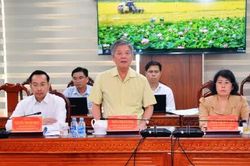 Lãnh đạo tỉnh làm việc với Hội Liên lạc với người đồng hương Đồng Tháp