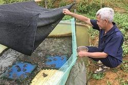 Vực dậy quê nghèo nhờ những quyết định dám vay vốn ưu đãi để làm ăn