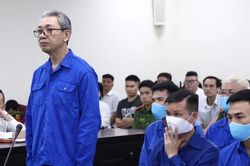 Hình ảnh cựu Phó chủ tịch UBND tỉnh Thanh Hóa Lê Đức Giang cùng đồng phạm tại tòa