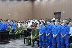 Xét xử Mr Pips và Shark Bình: Các bị cáo day dứt, ân hận vì tiếp tay lừa đảo