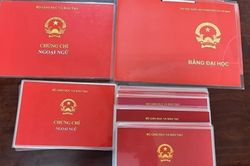 Quảng Ninh: Rà soát hồ sơ cán bộ, công chức, xử lý văn bằng giả