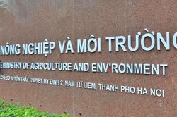 Phát hiện nhiều vi phạm tại các hồ sơ cấp phép khoáng sản của Bộ NN&MT