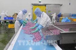 Kim ngạch xuất nhập khẩu hàng hóa Việt Nam vượt mốc 1.000 tỷ USD sau 10 tháng