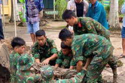 Cà Mau quy tập 3 hài cốt liệt sĩ tại nghĩa trang tạm Tân Bằng