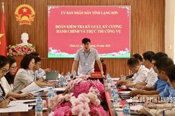 Kiểm tra kỷ luật kỷ cương hành chính và thực thi công vụ tại xã Tuấn Sơn và Nhân Lý